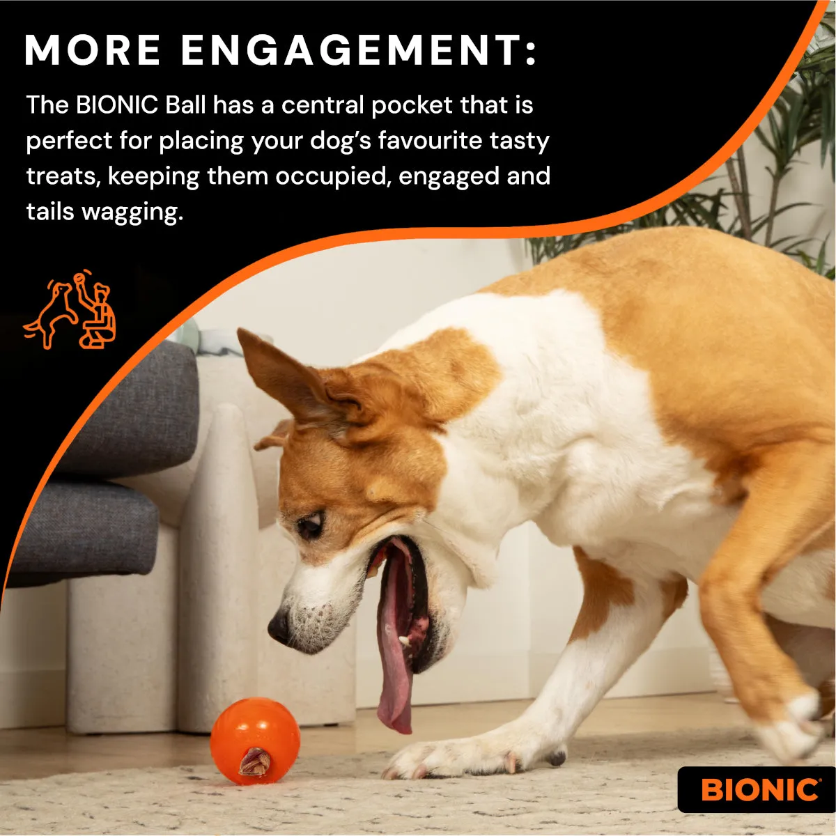 BIONIC Ball Dog Toy 3 Sizes