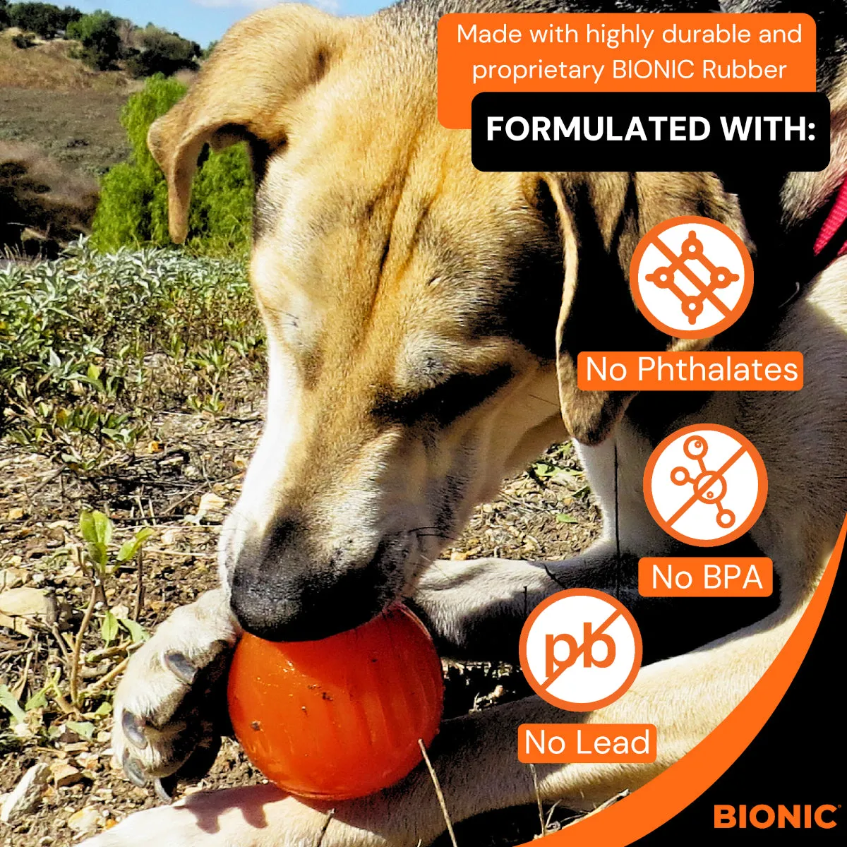 BIONIC Ball Dog Toy 3 Sizes