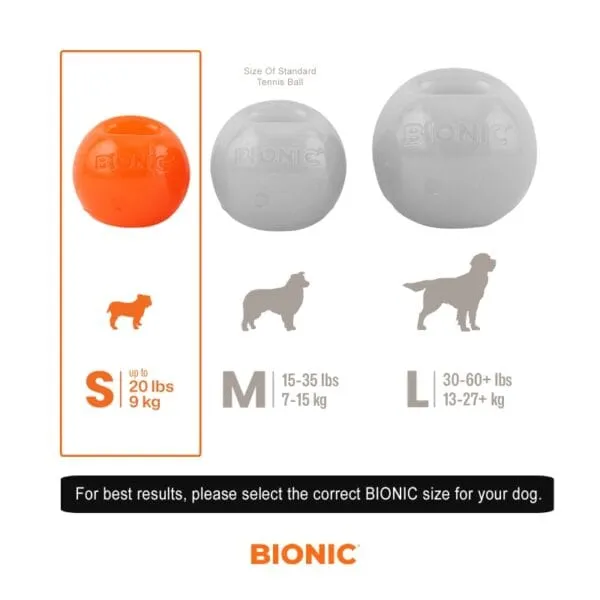 BIONIC Ball Dog Toy