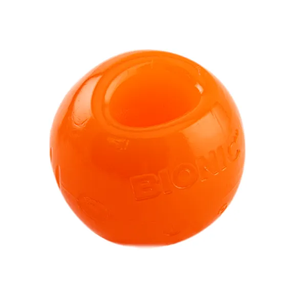 BIONIC Ball Dog Toy