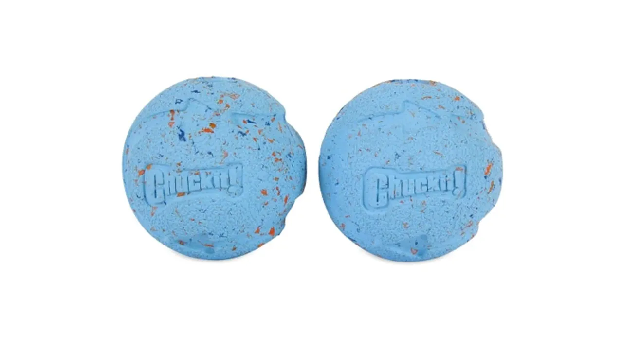 ChuckIt! Rebounce Ball Medium 2pk