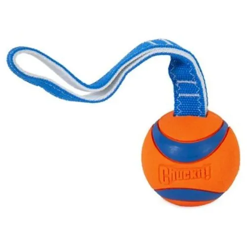 Chuckit! Ultra Tug Dog Toy