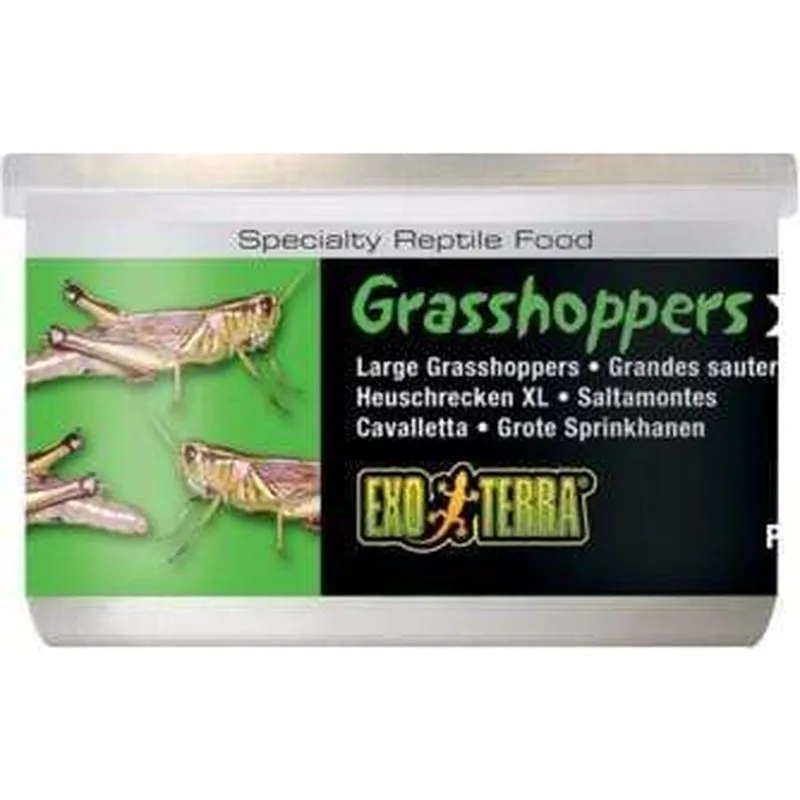 Exo Terra Canned Food 34g XL Grasshoppers