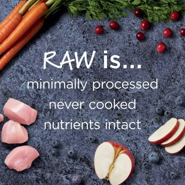 Instinct Raw Boost Real Chicken Recipe Dry Dog Food