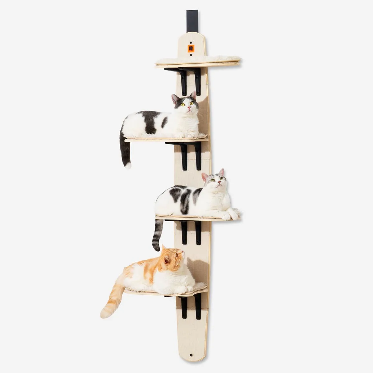 Sherman Cat Shelf Premium