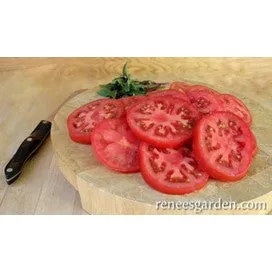 Tomato Beefsteak: Big Beef by Renee's Garden